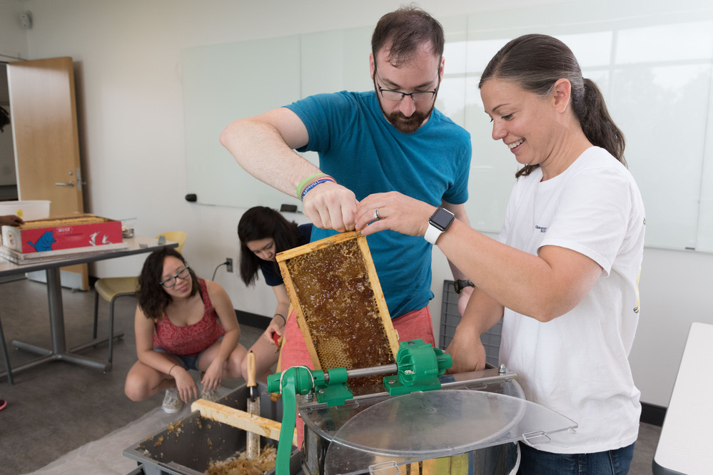 Noah Posner harvesting honey